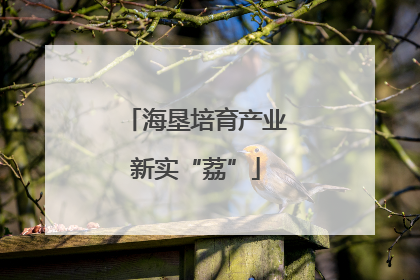海垦培育产业新实“荔”